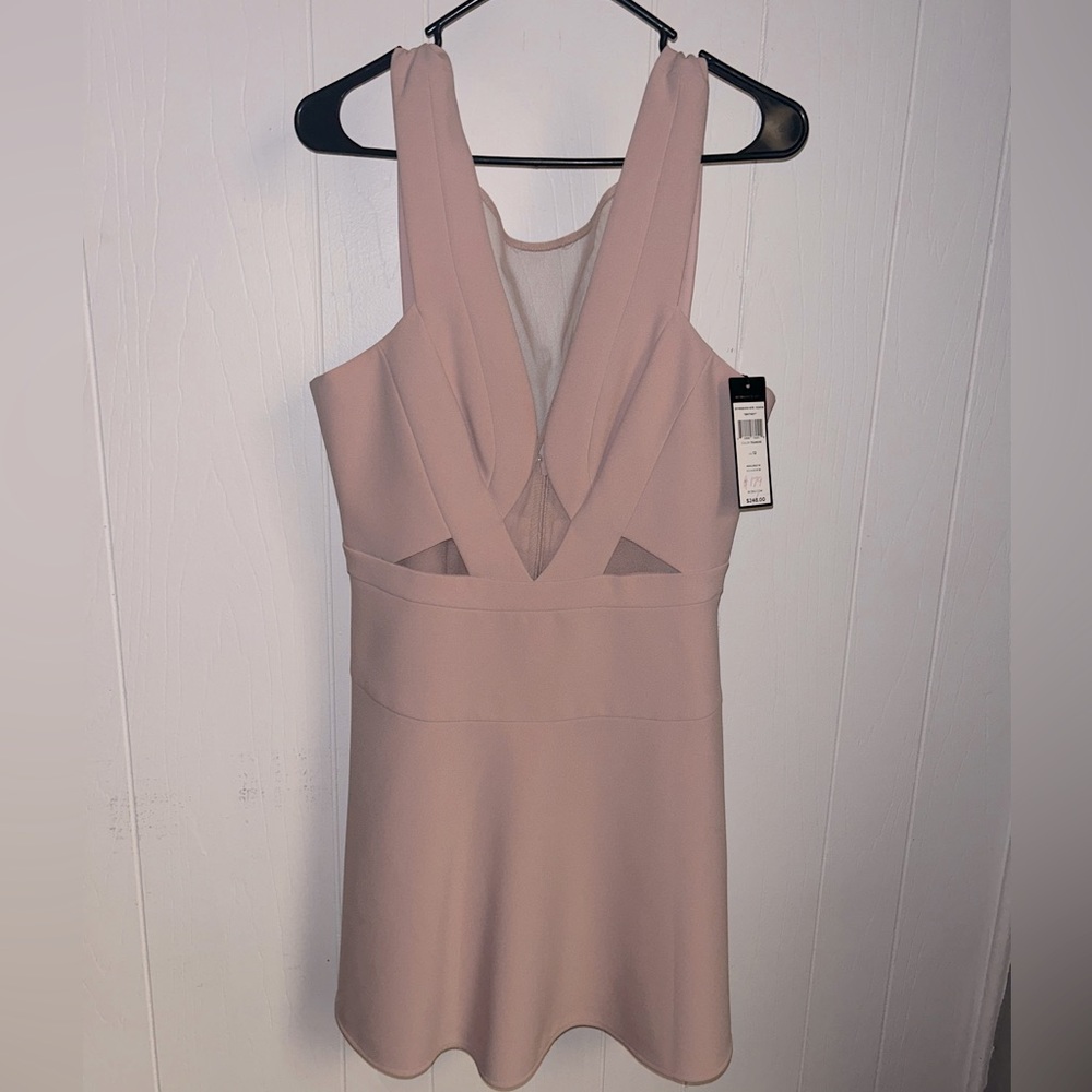 BCBG mesh front dress